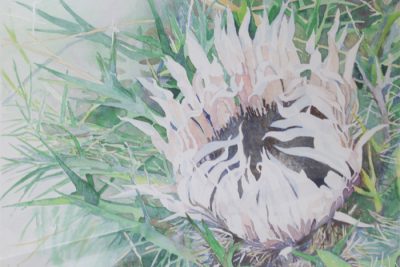 Fredericksburg Annual Art Show and Sale